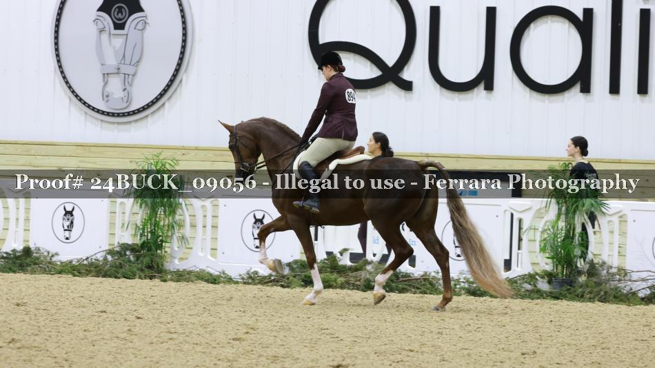 Proof 24BUCK_09056