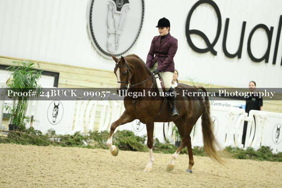Proof 24BUCK_09057
