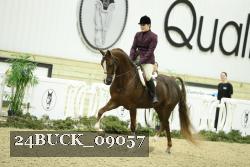 24BUCK_09057 proof