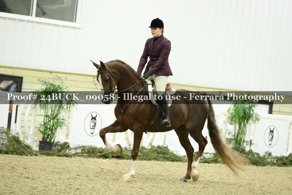 Proof 24BUCK_09058
