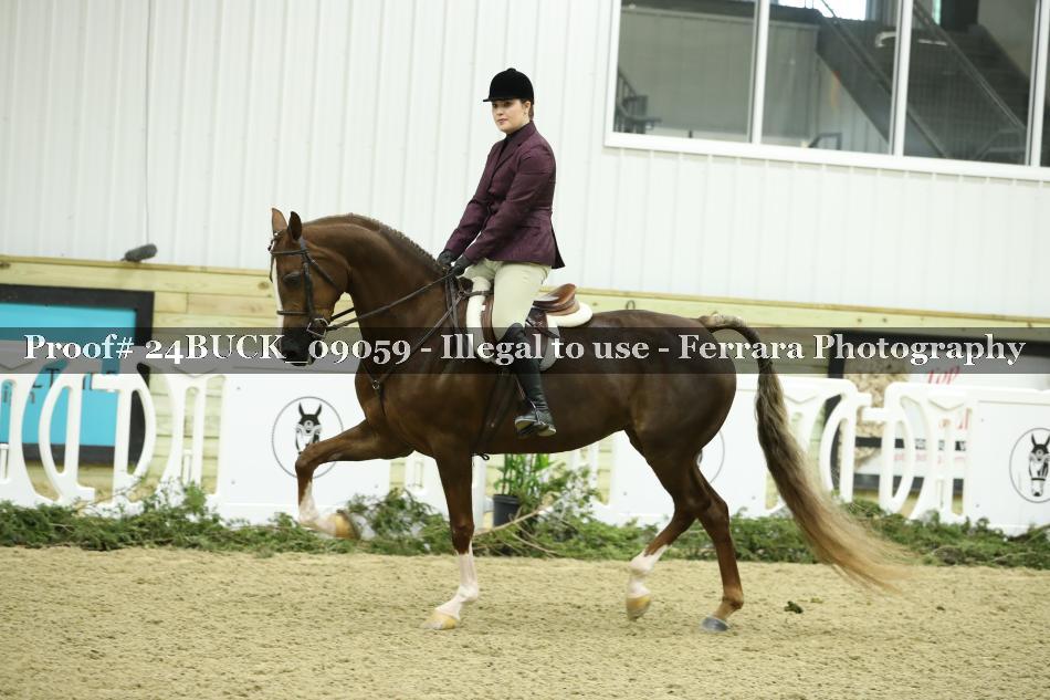 Proof 24BUCK_09059