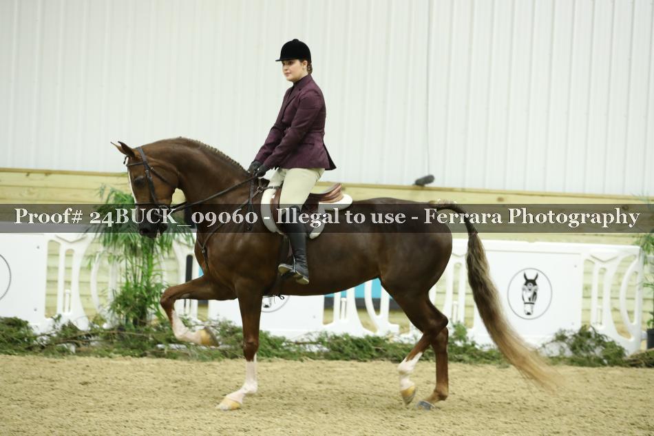 Proof 24BUCK_09060