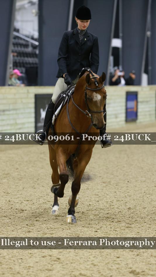 Proof 24BUCK_09061