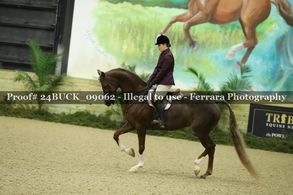 Proof 24BUCK_09062