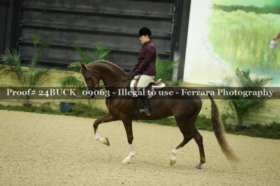 Proof 24BUCK_09063