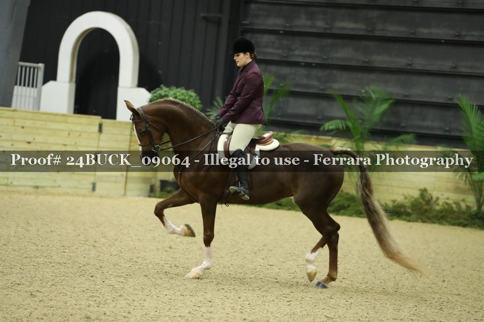 Proof 24BUCK_09064