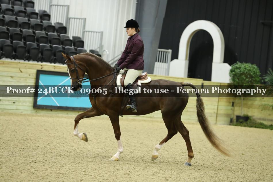 Proof 24BUCK_09065