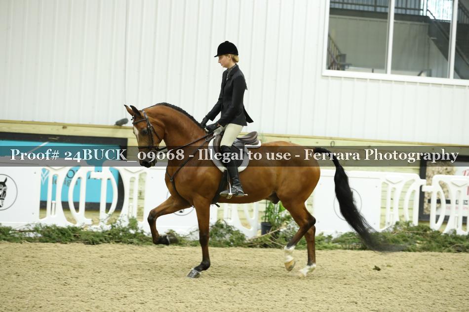 Proof 24BUCK_09068