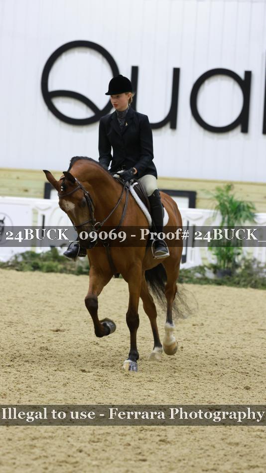 Proof 24BUCK_09069