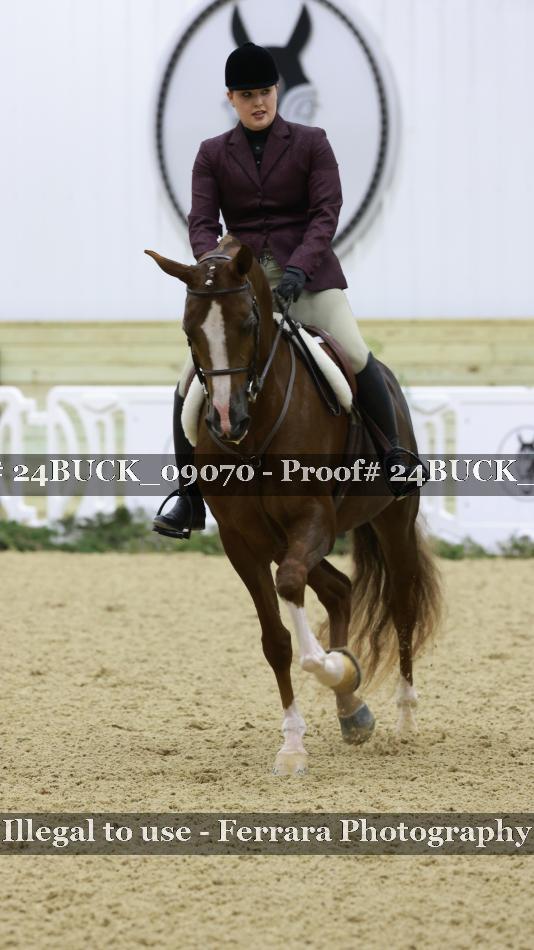 Proof 24BUCK_09070