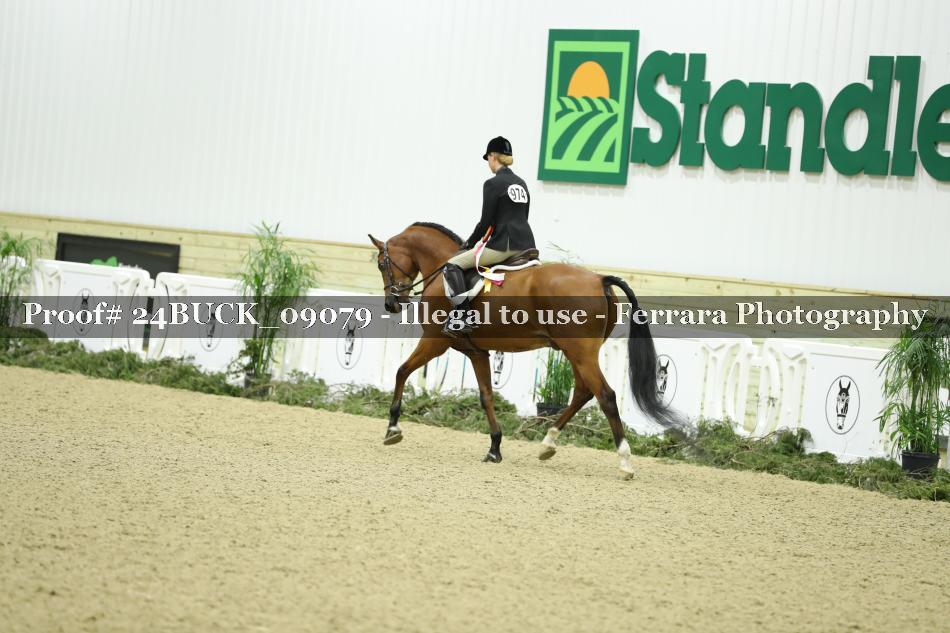 Proof 24BUCK_09079