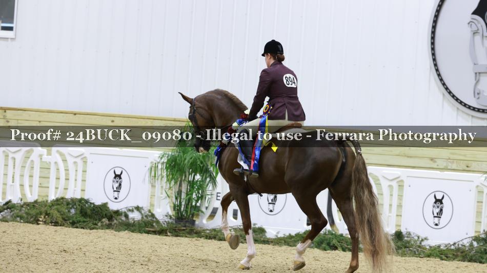 Proof 24BUCK_09080