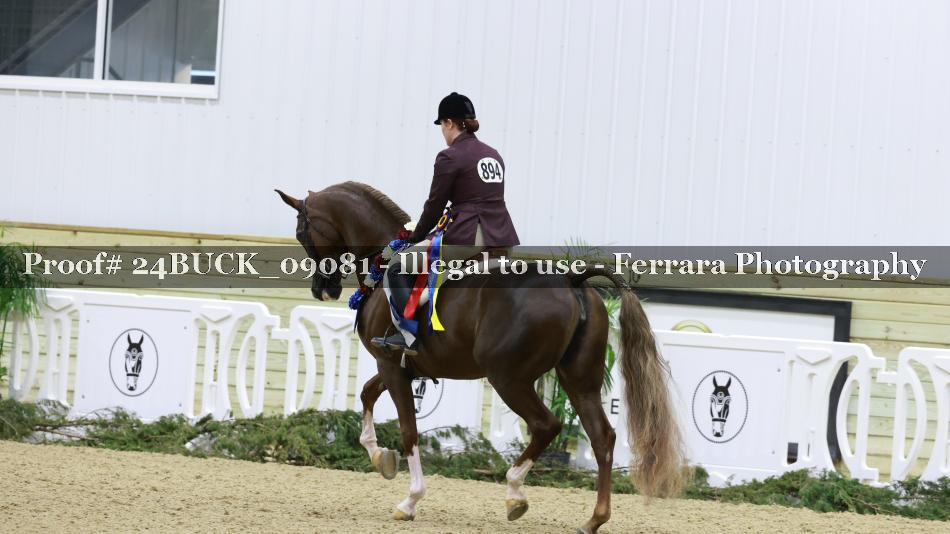 Proof 24BUCK_09081
