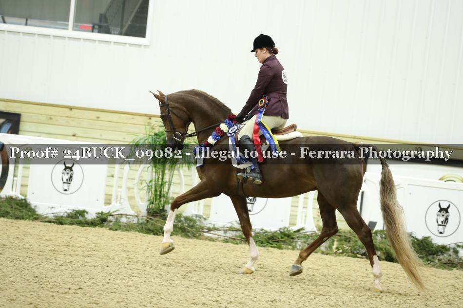 Proof 24BUCK_09082