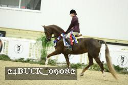 24BUCK_09082 proof