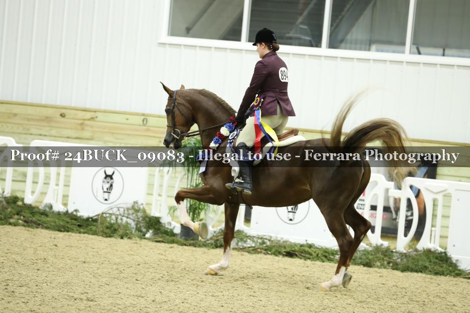 Proof 24BUCK_09083