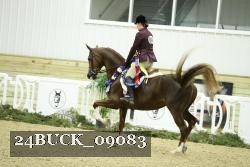 24BUCK_09083 proof