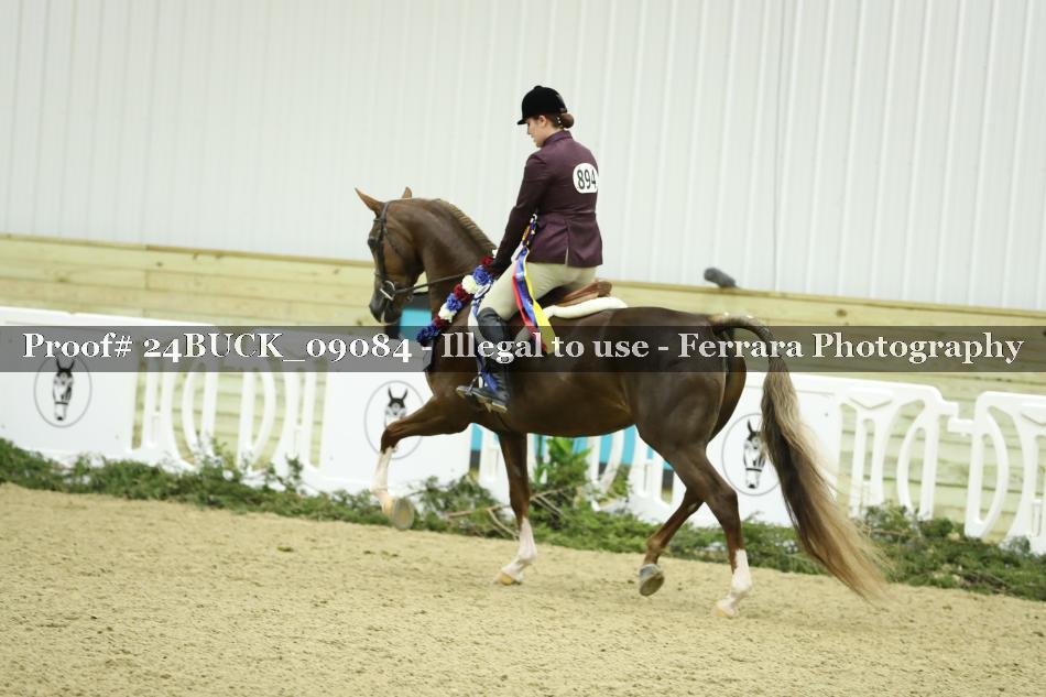 Proof 24BUCK_09084