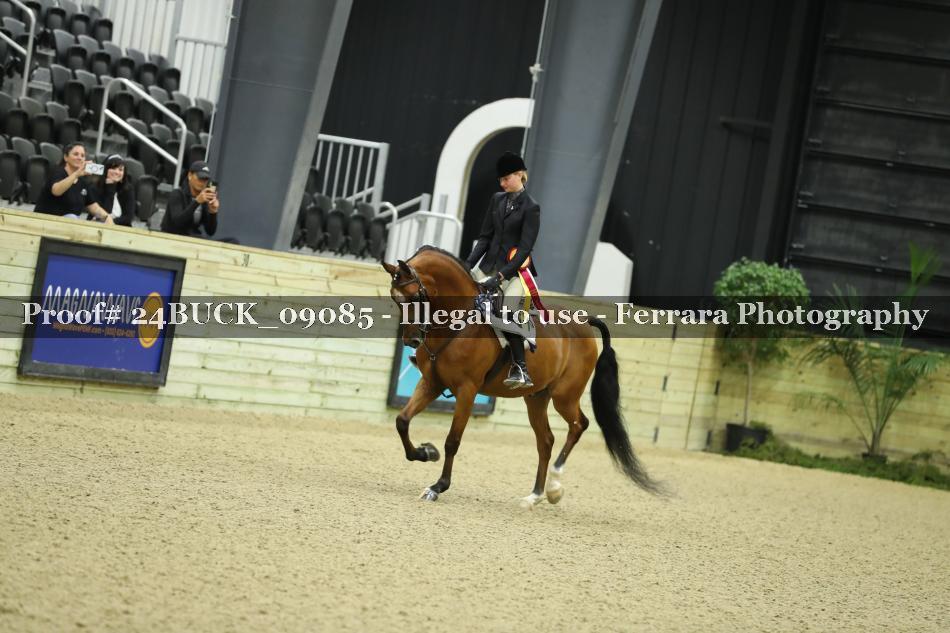 Proof 24BUCK_09085