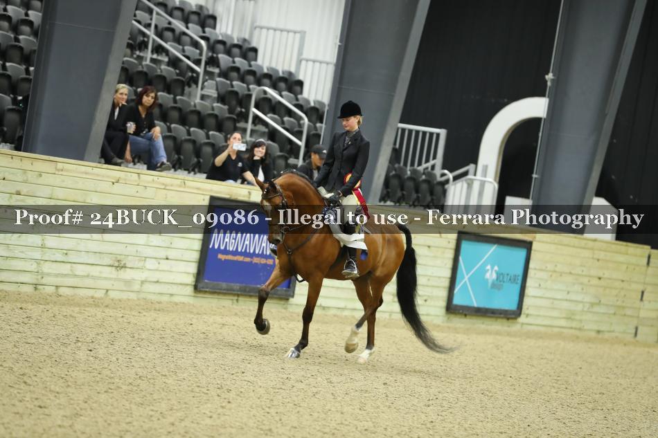 Proof 24BUCK_09086
