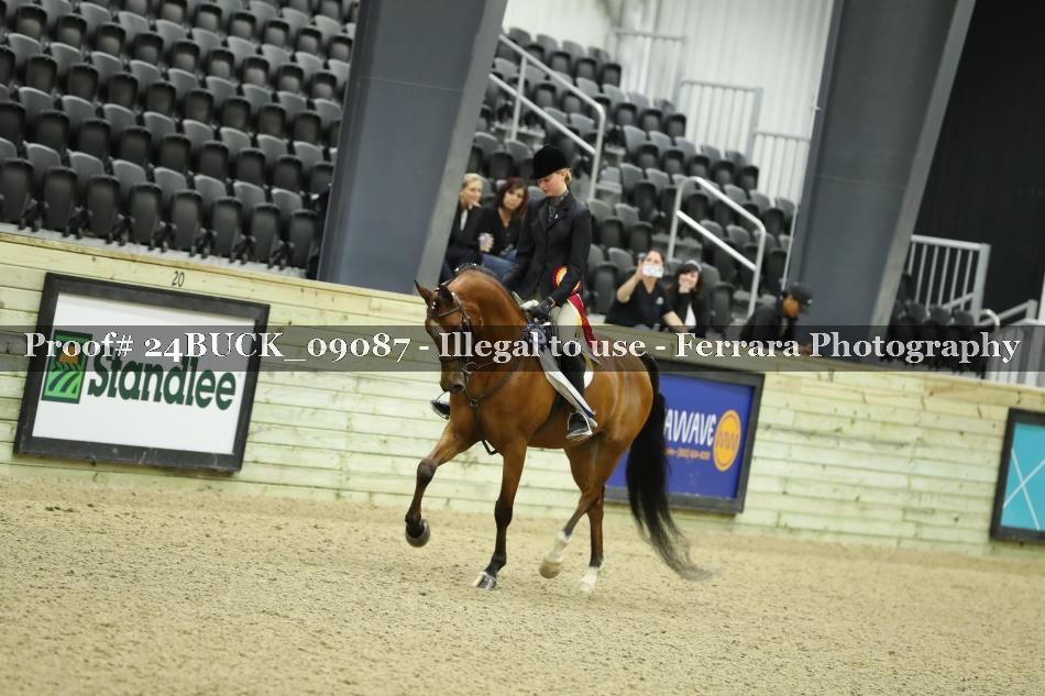 Proof 24BUCK_09087
