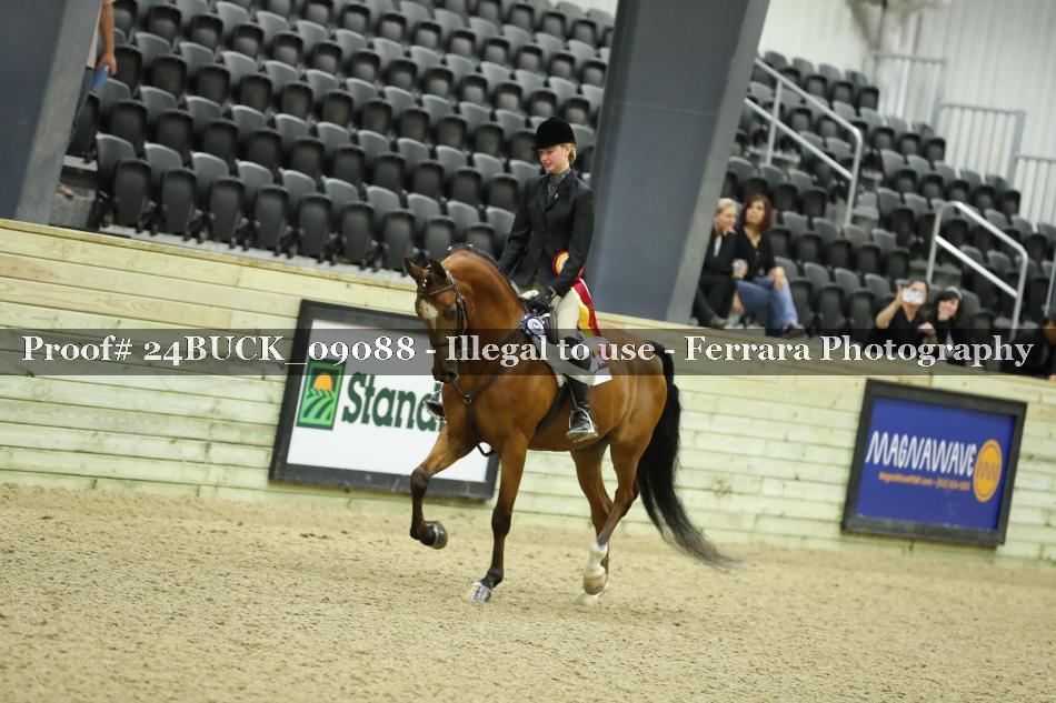 Proof 24BUCK_09088