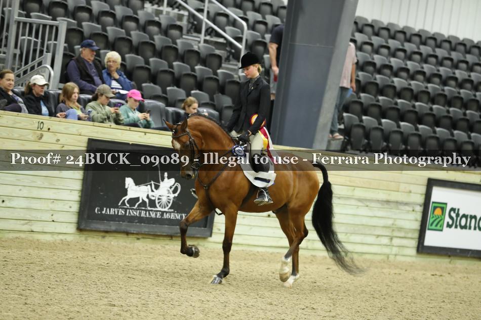 Proof 24BUCK_09089