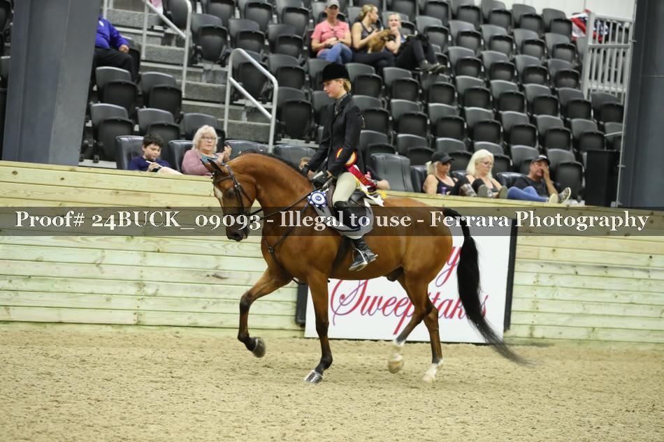 Proof 24BUCK_09093