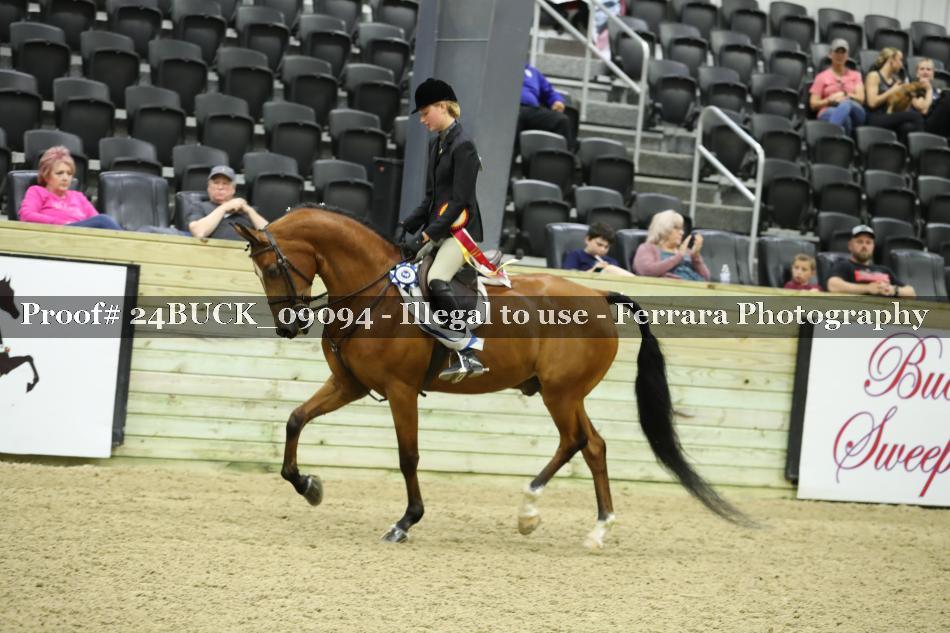 Proof 24BUCK_09094
