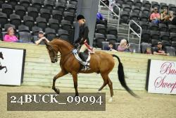 24BUCK_09094 proof