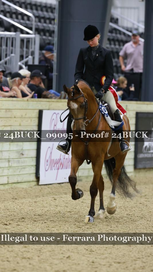 Proof 24BUCK_09095