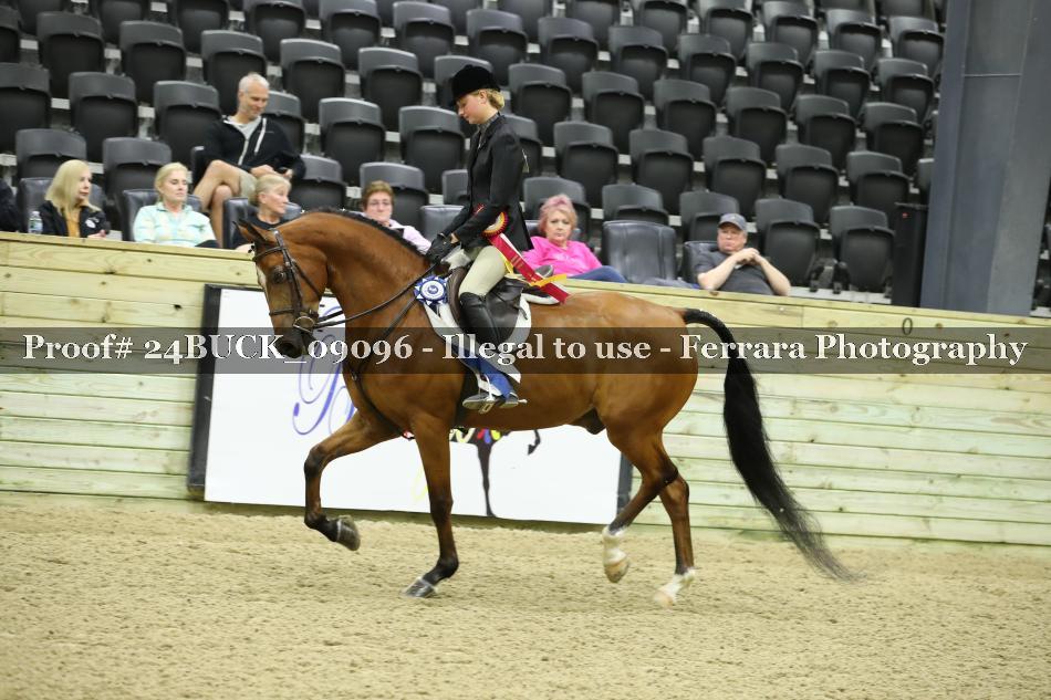 Proof 24BUCK_09096