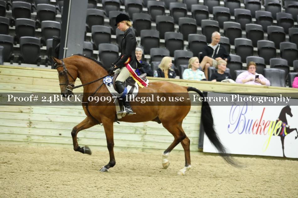 Proof 24BUCK_09097