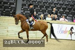 24BUCK_09097 proof