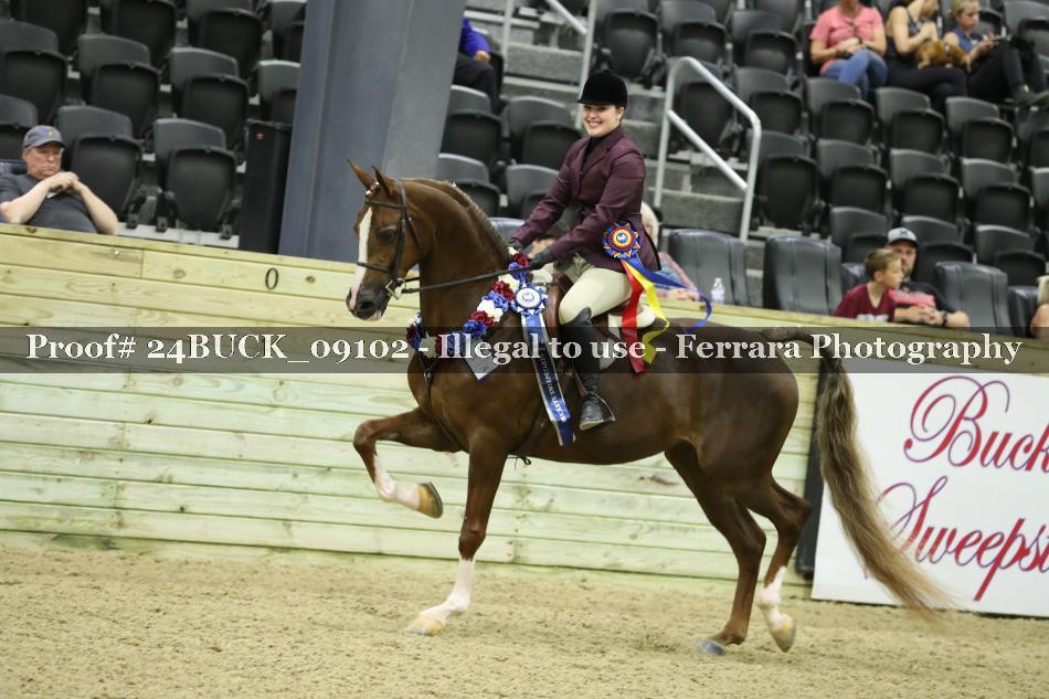 Proof 24BUCK_09102