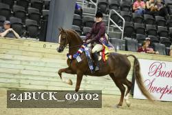 24BUCK_09102 proof