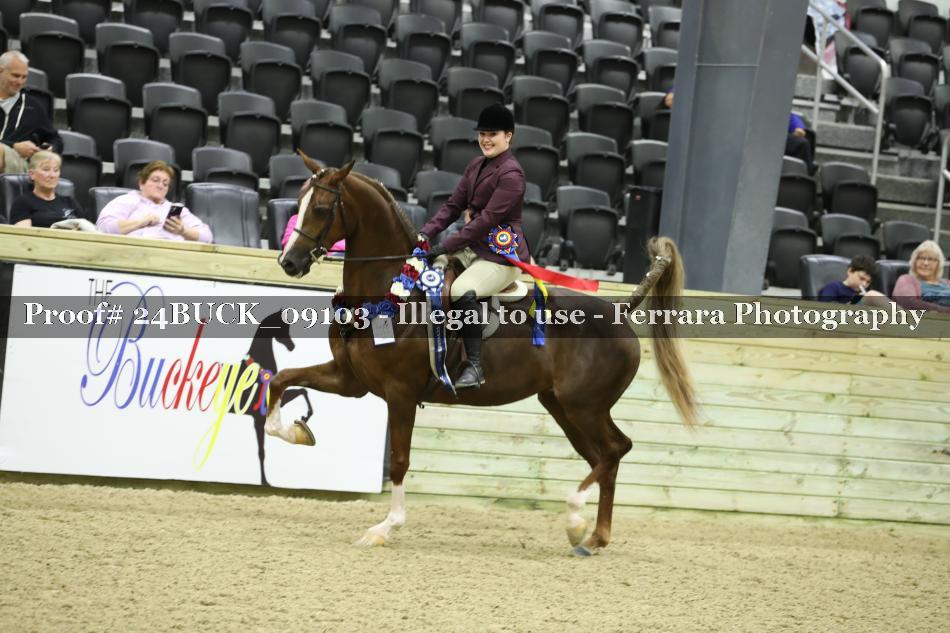 Proof 24BUCK_09103