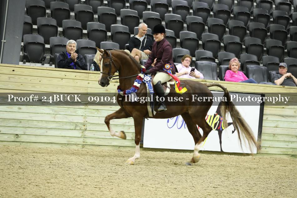 Proof 24BUCK_09104