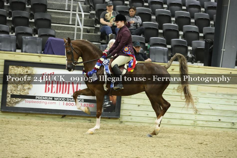 Proof 24BUCK_09105