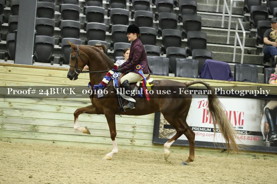 Proof 24BUCK_09106