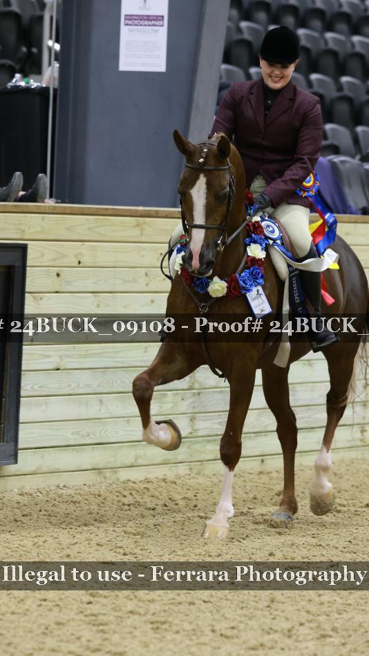 Proof 24BUCK_09108