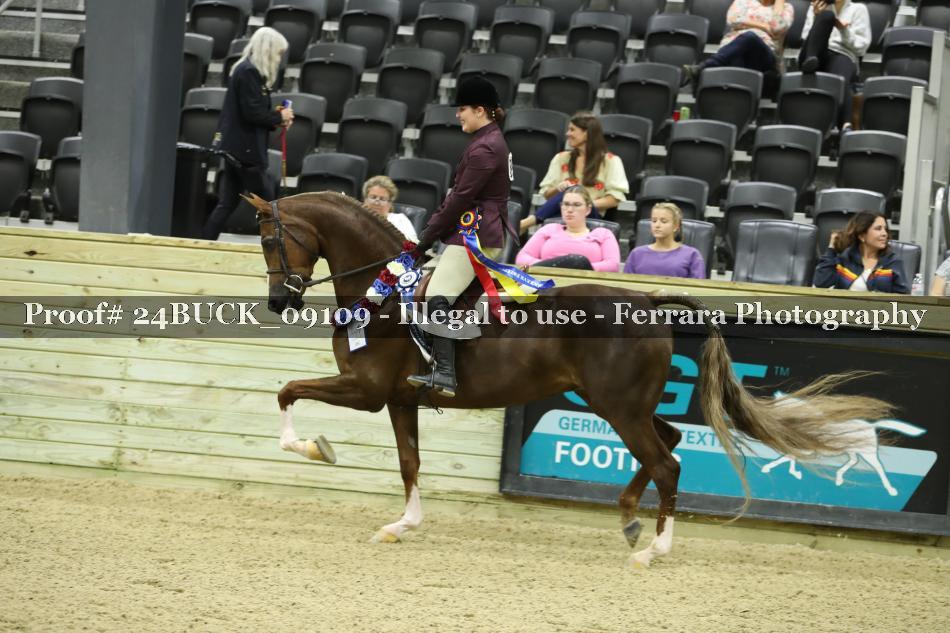 Proof 24BUCK_09109
