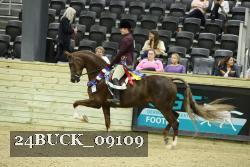 24BUCK_09109 proof