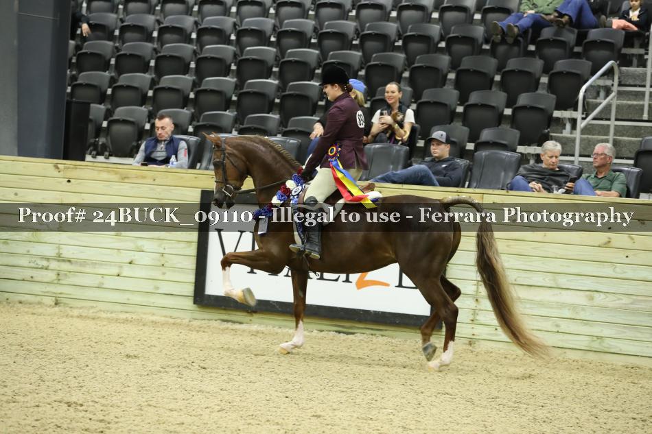 Proof 24BUCK_09110
