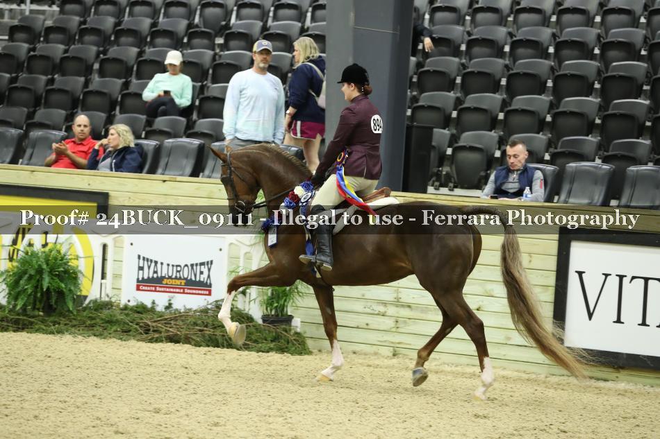 Proof 24BUCK_09111