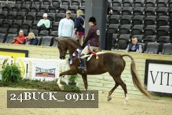 24BUCK_09111 proof