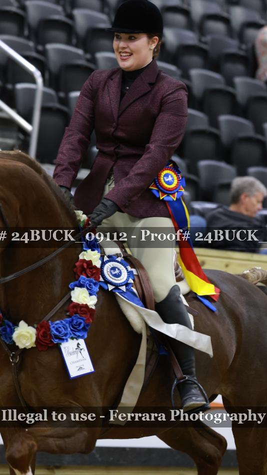 Proof 24BUCK_09112