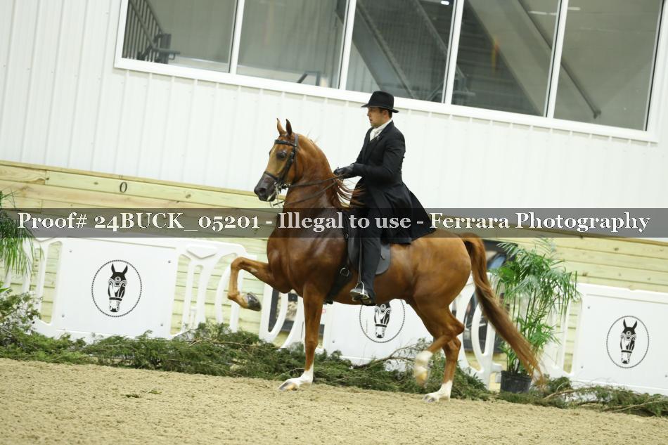 Proof 24BUCK_05201