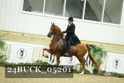 24BUCK_05201 proof