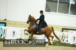 24BUCK_05202 proof